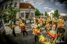 Karneval v Riu po slovensky 2014